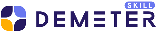 Logo DMIT Skill